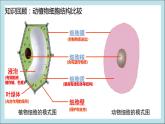 2.1.4 细胞的生活 课件