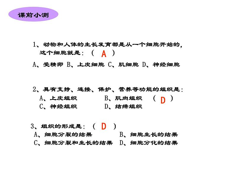 2.2.3 植物体的结构层次 课件02