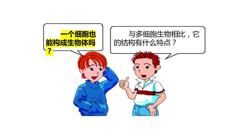 2.2.4 单细胞生物第1页