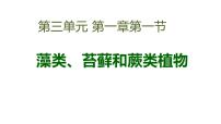 初中生物第一节 藻类、苔藓和蕨类植物图文ppt课件