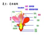 3.3绿色植物与生物圈的水循环 课件