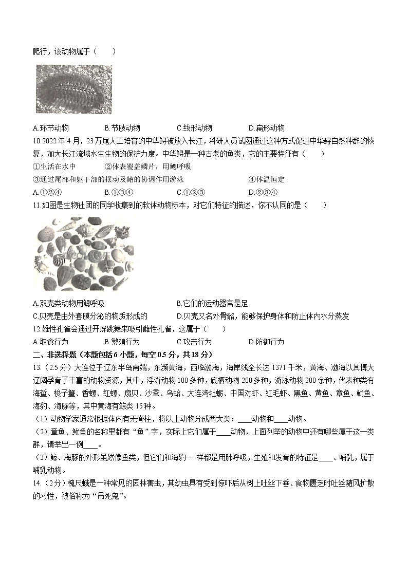 辽宁省大连市金州区2022-2023学年八年级上学期期中生物试题(含答案)第3页