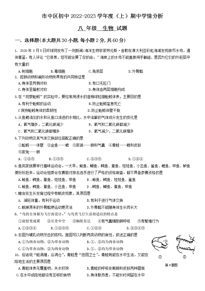 四川省乐山市市中区2022—2023学年八年级上学期期中调研考试生物试题 (含答案)01