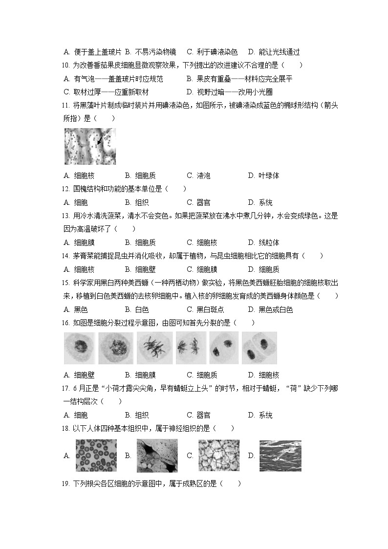 2021-2022学年北京市朝阳区七年级（上）期末生物试卷(含答案解析)第2页