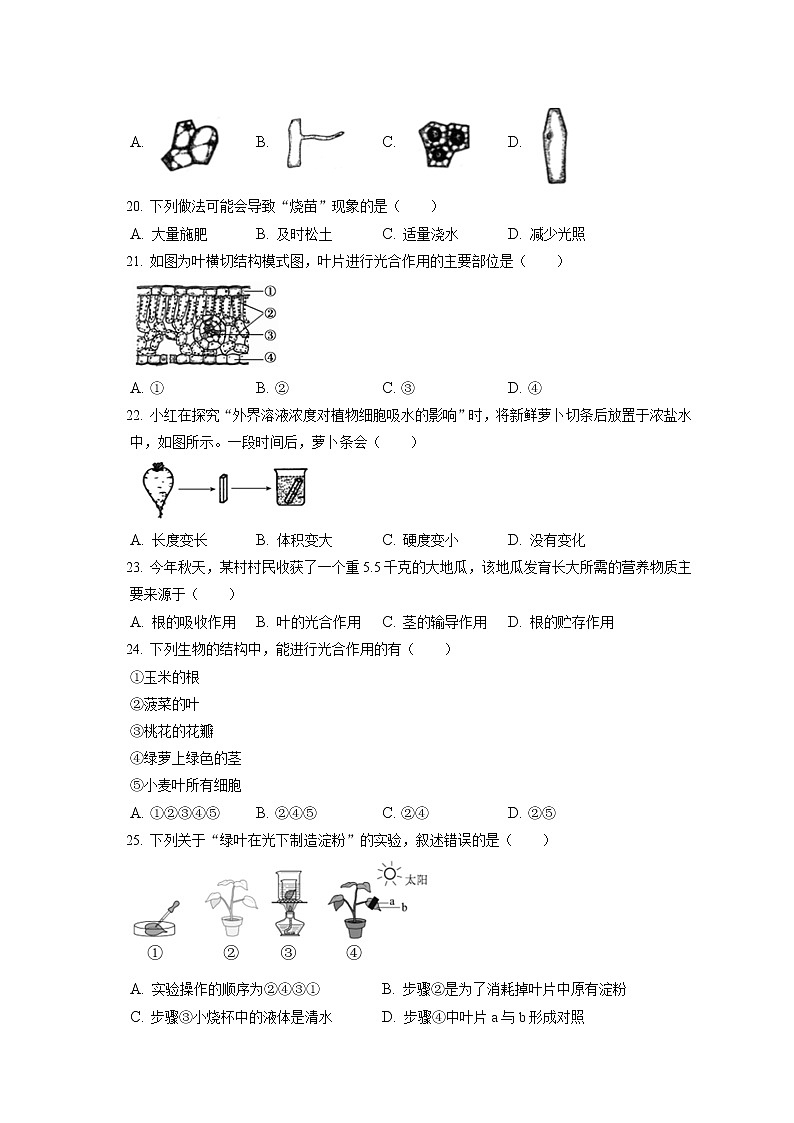 2021-2022学年北京市朝阳区七年级（上）期末生物试卷(含答案解析)第3页
