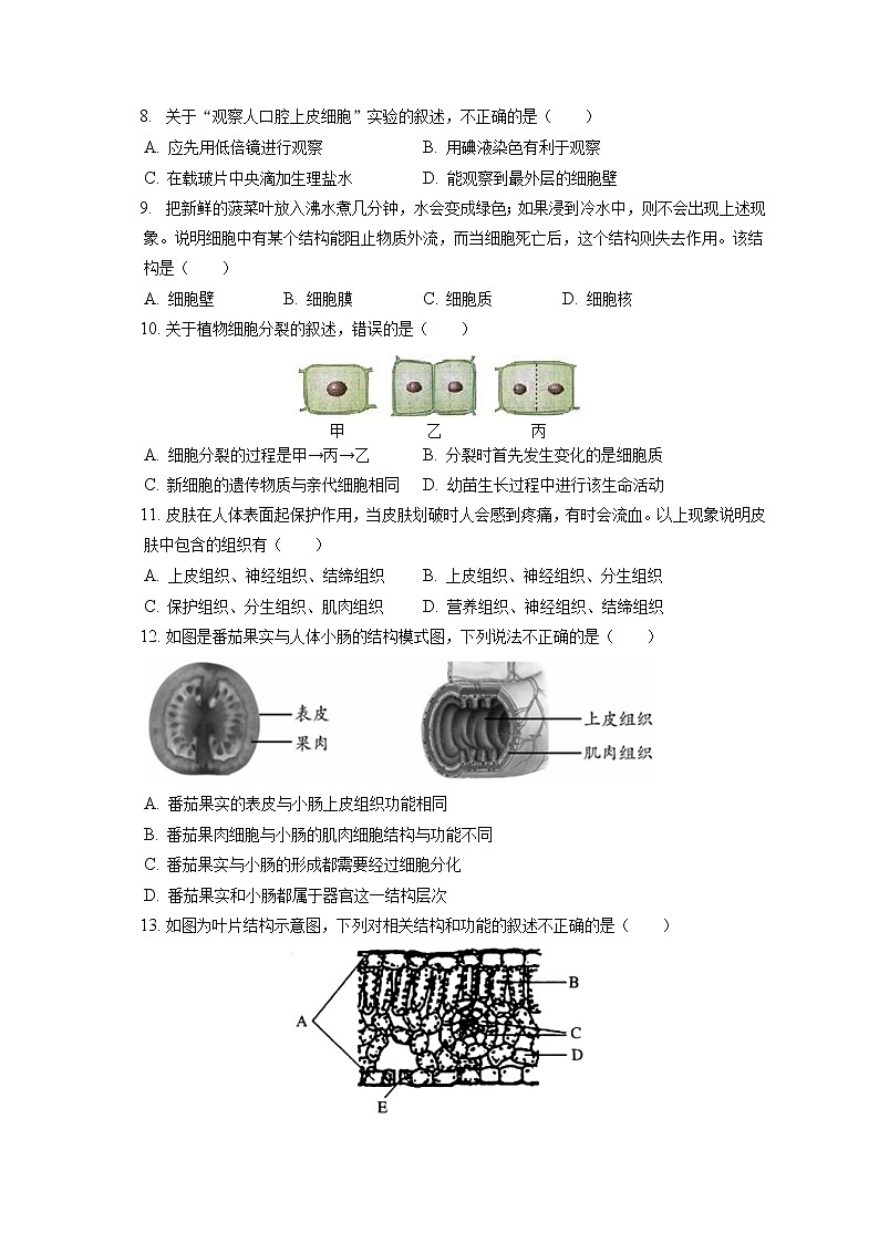 2021-2022学年北京市房山区七年级（上）期末生物试卷(含答案解析)02