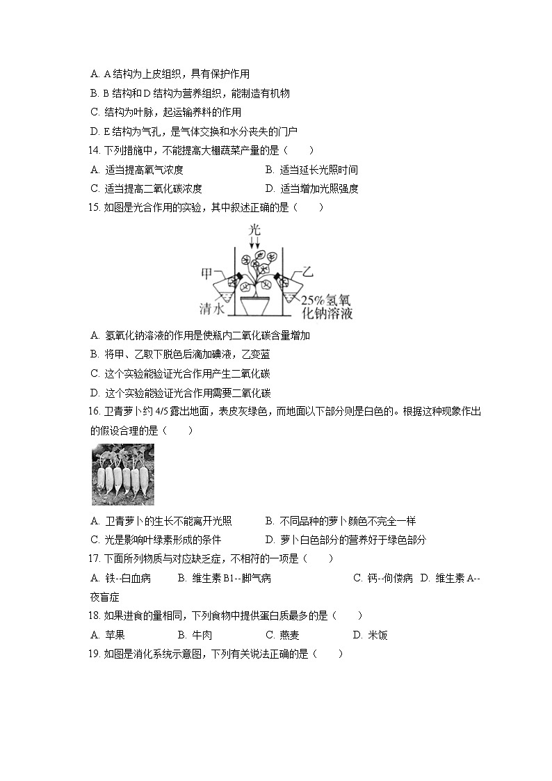 2021-2022学年北京市房山区七年级（上）期末生物试卷(含答案解析)03