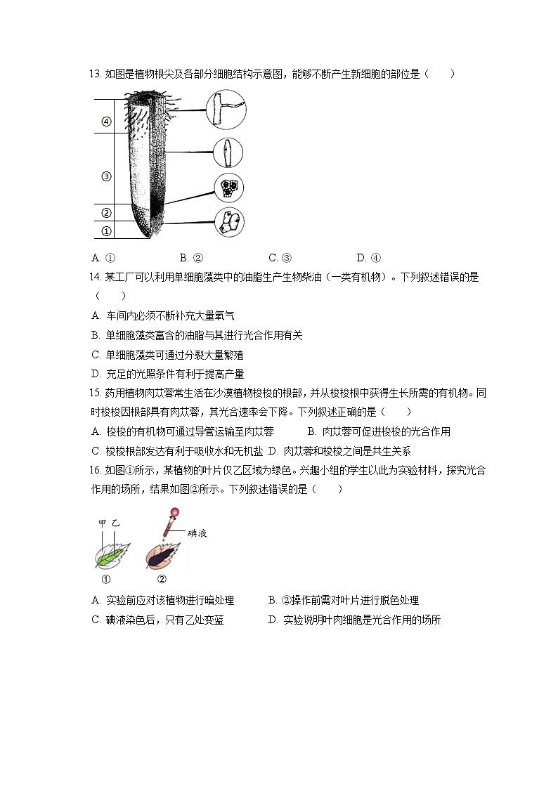 2021-2022学年北京市海淀区七年级（上）期末生物试卷(含答案解析)03