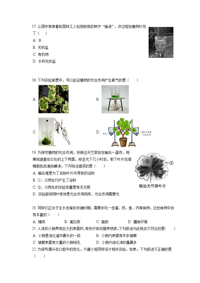 2021-2022学年北京市顺义区七年级（上）期末生物试卷(含答案解析)03