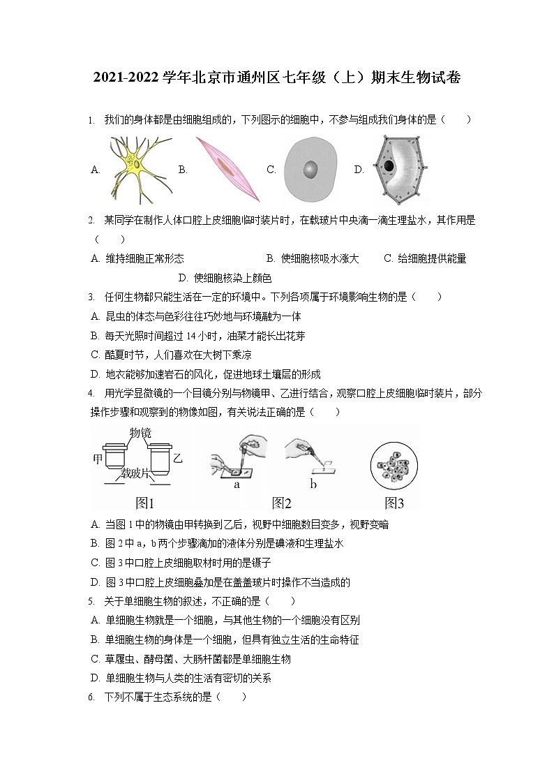 2021-2022学年北京市通州区七年级（上）期末生物试卷(含答案解析)01