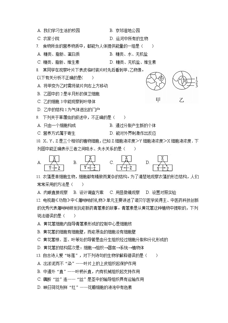 2021-2022学年北京市通州区七年级（上）期末生物试卷(含答案解析)02