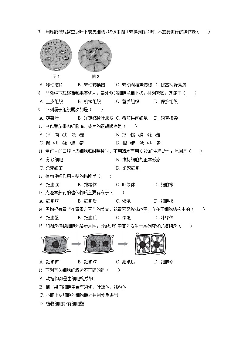 2021-2022学年北京市燕山地区七年级（上）期末生物试卷(含答案解析)02