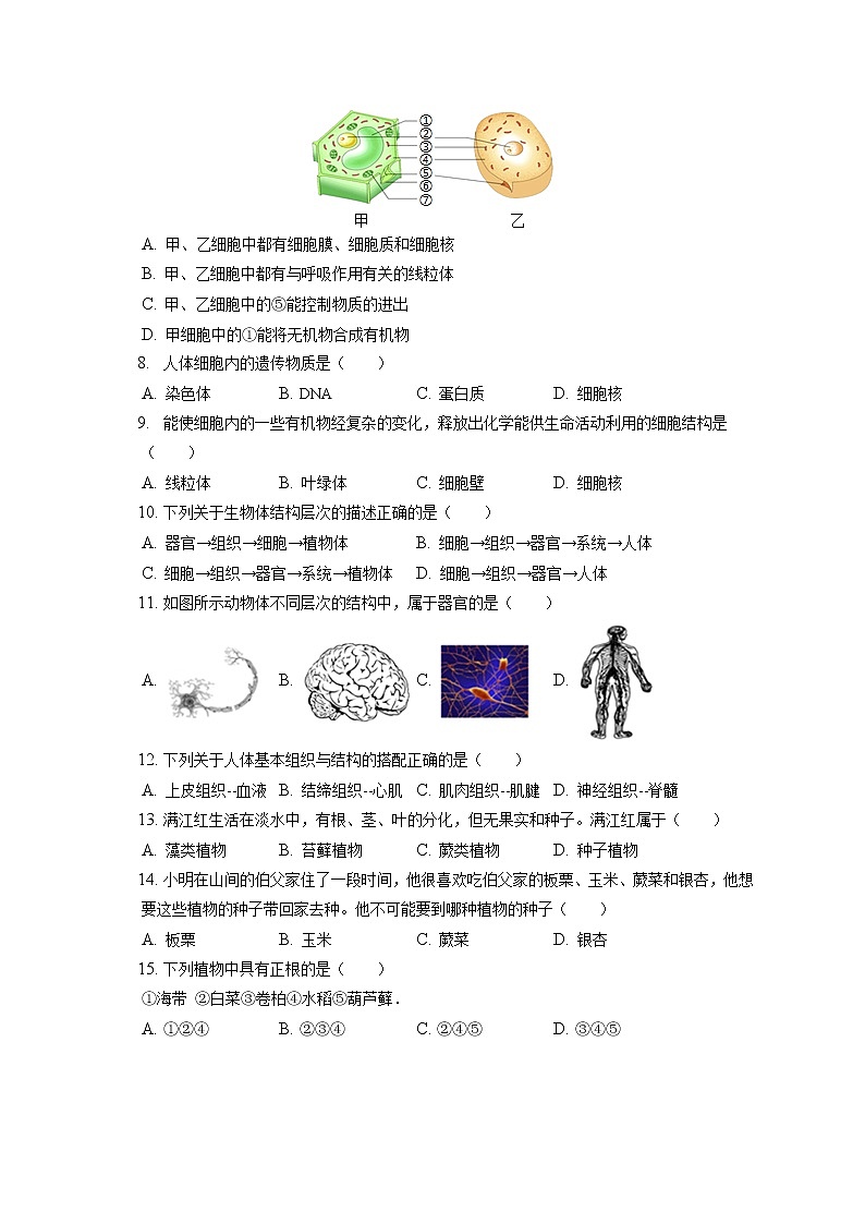2021-2022学年河北省承德市承德县七年级（上）期末生物试卷(含答案解析)第2页