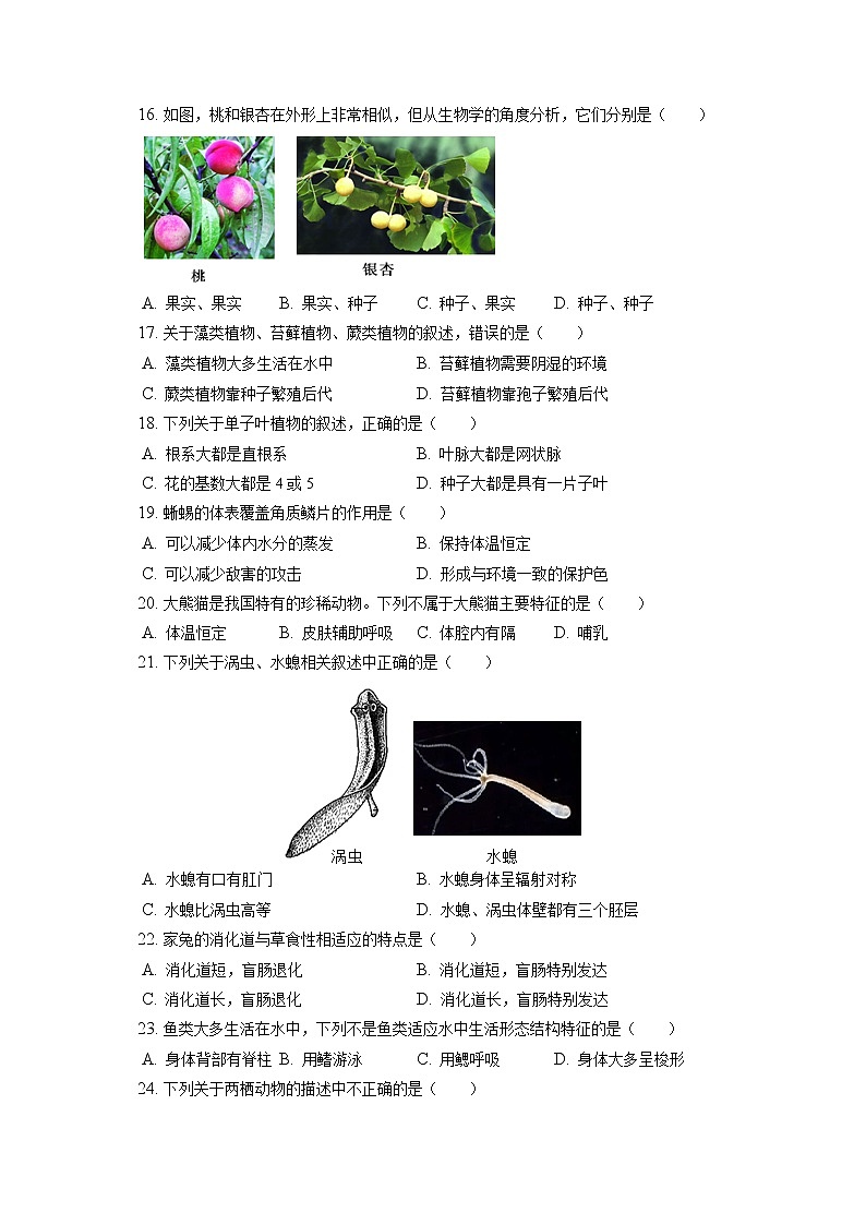 2021-2022学年河北省承德市承德县七年级（上）期末生物试卷(含答案解析)第3页