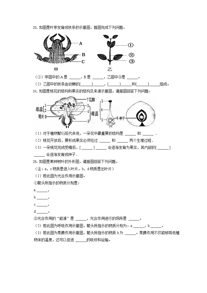 2021-2022学年吉林省四平市铁东区七年级（上）期末生物试卷(含答案解析)03