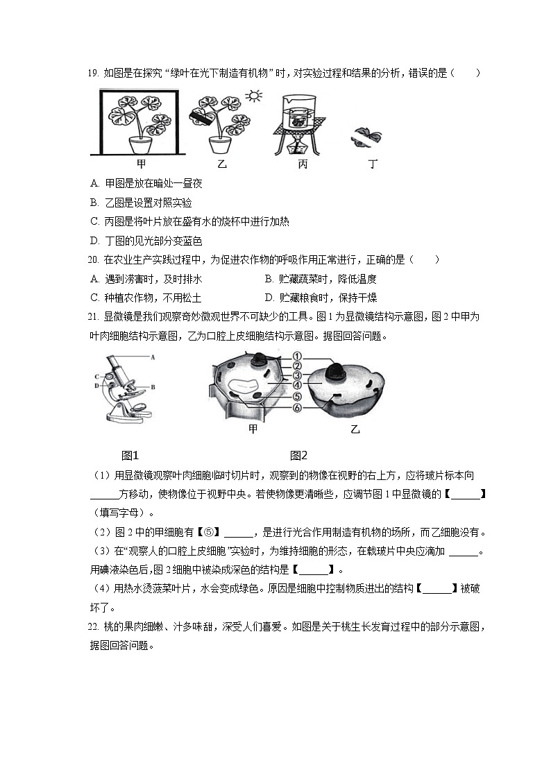 2021-2022学年吉林省延边州七年级（上）期末生物试卷(含答案解析)03
