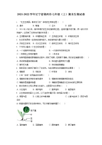 2021-2022学年辽宁省锦州市七年级（上）期末生物试卷(含答案解析)