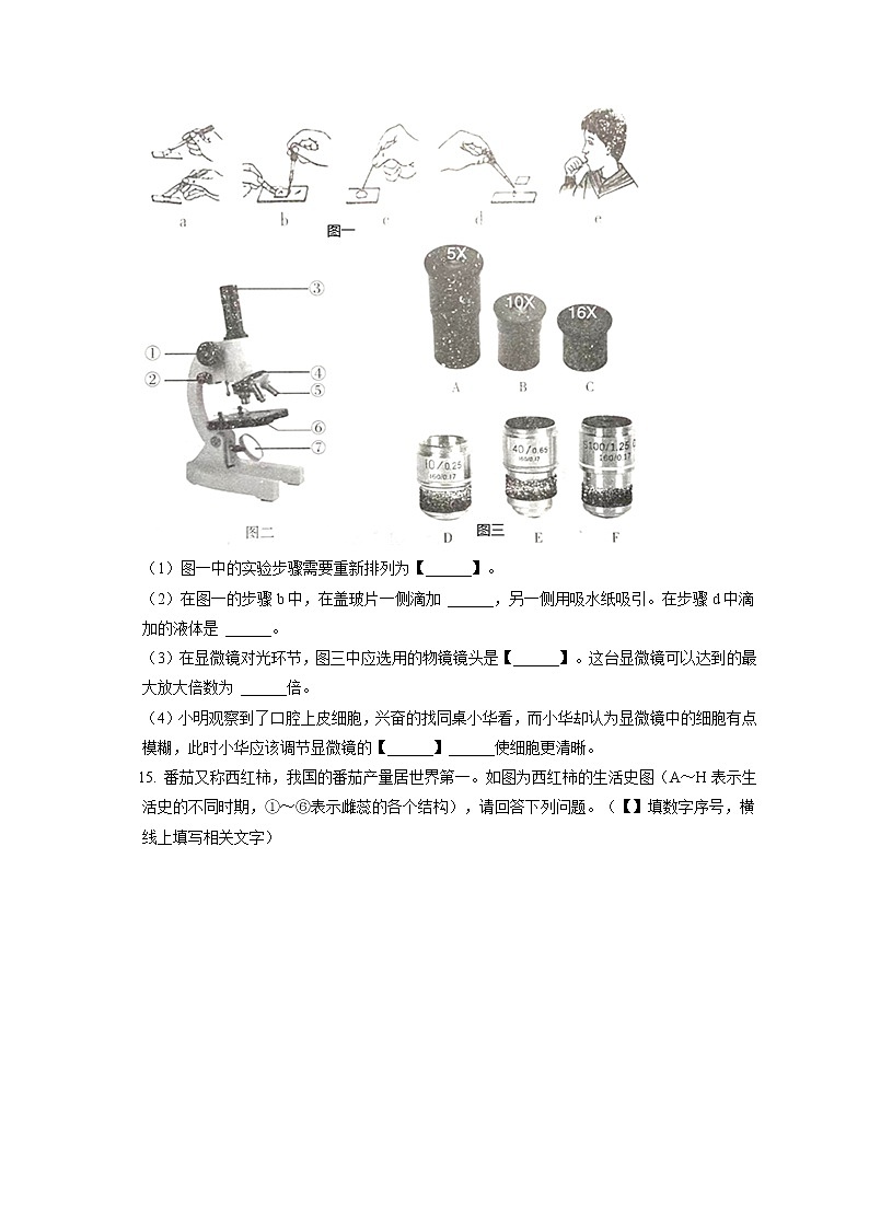 2021-2022学年辽宁省沈阳市和平区、苏家屯区七年级（上）期末生物试卷(含答案解析)03