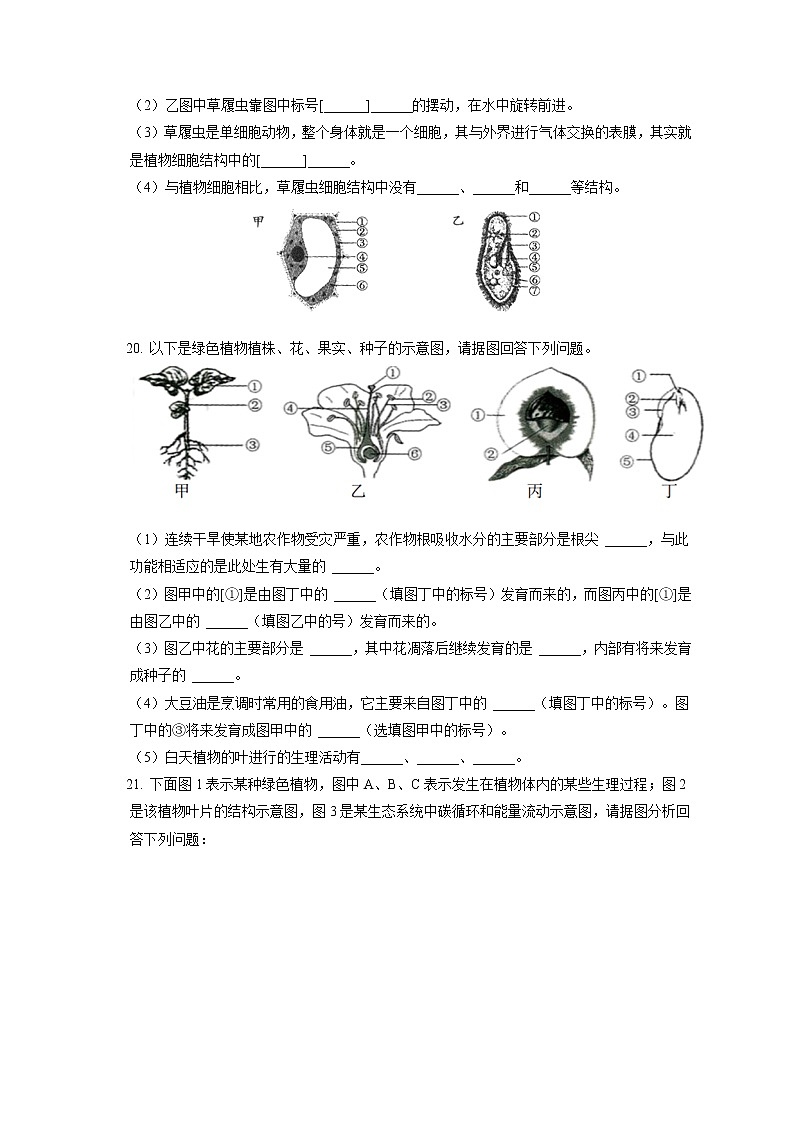 2021-2022学年山西省临汾市古县七年级（上）期末生物试卷(含答案解析)03