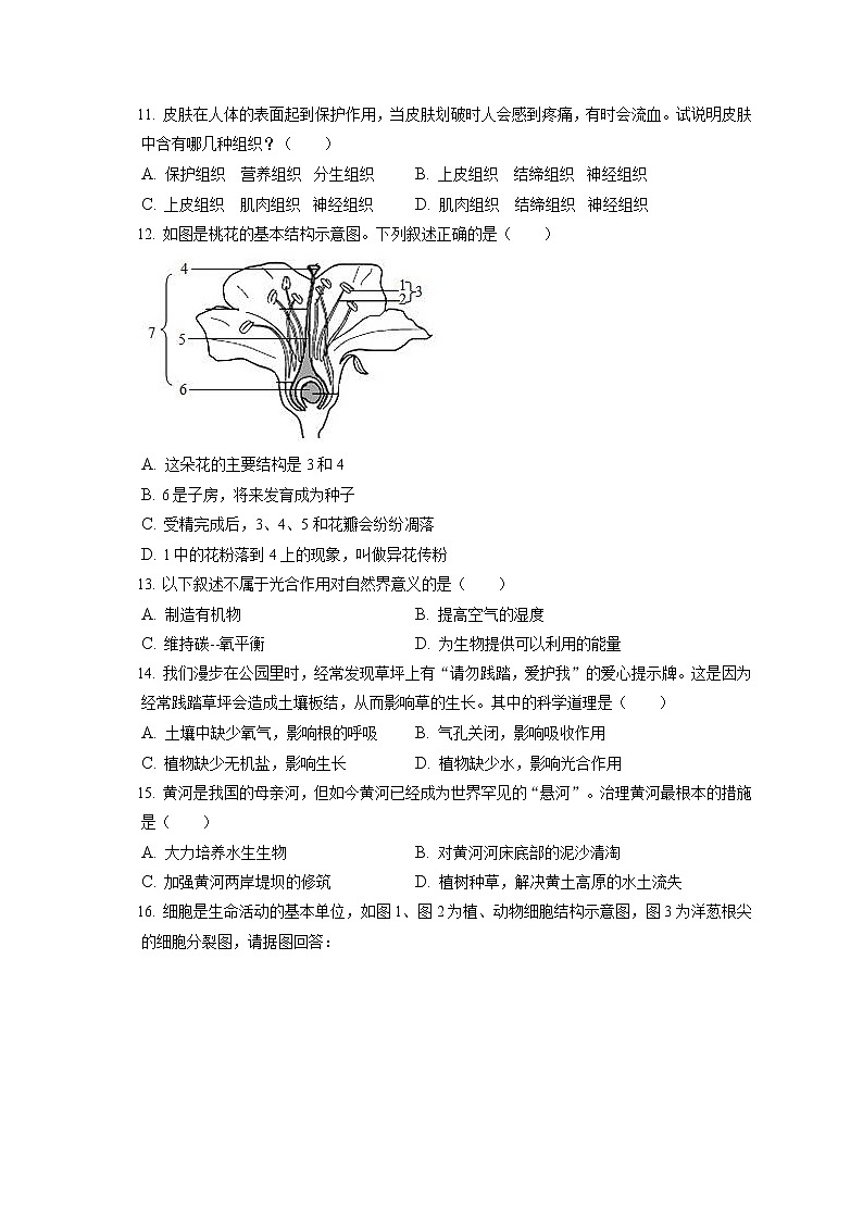 2021-2022学年山西省阳泉市平定县七年级（上）期末生物试卷(含答案解析)02