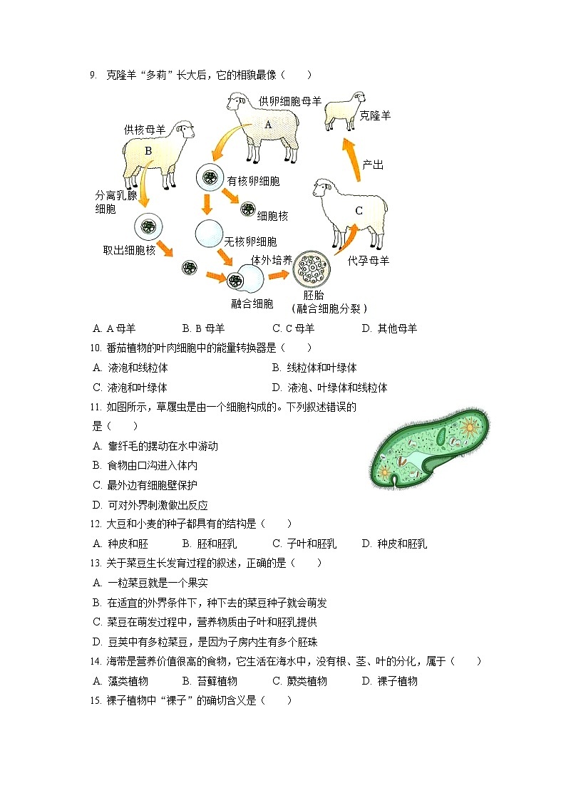 2021-2022学年天津市滨海新区七年级（上）期末生物试卷(含答案解析)02