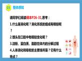 4.2.2《消化和吸收》课件+教案+习题