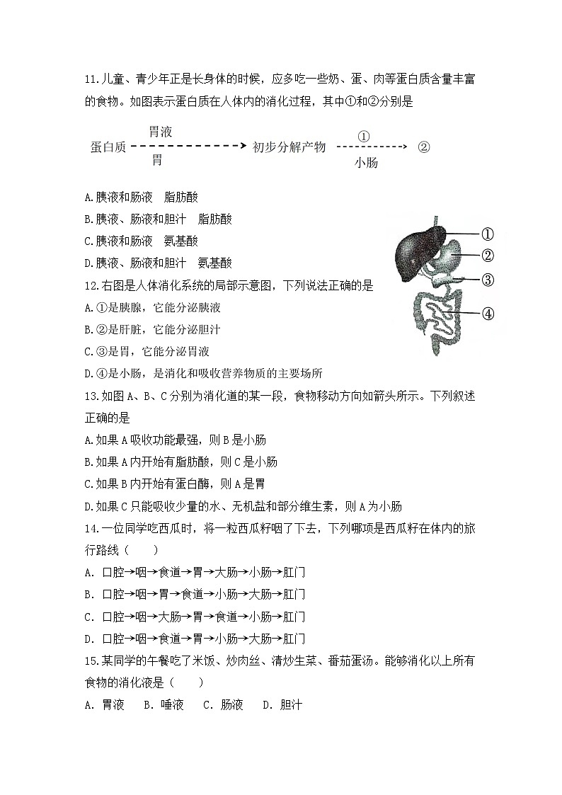 4.2.2《消化和吸收》同步练习第3页