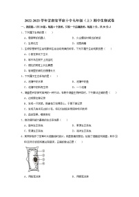 甘肃省平凉市第十中学2022-2023学年七年级上学期期中生物试卷 (含答案)