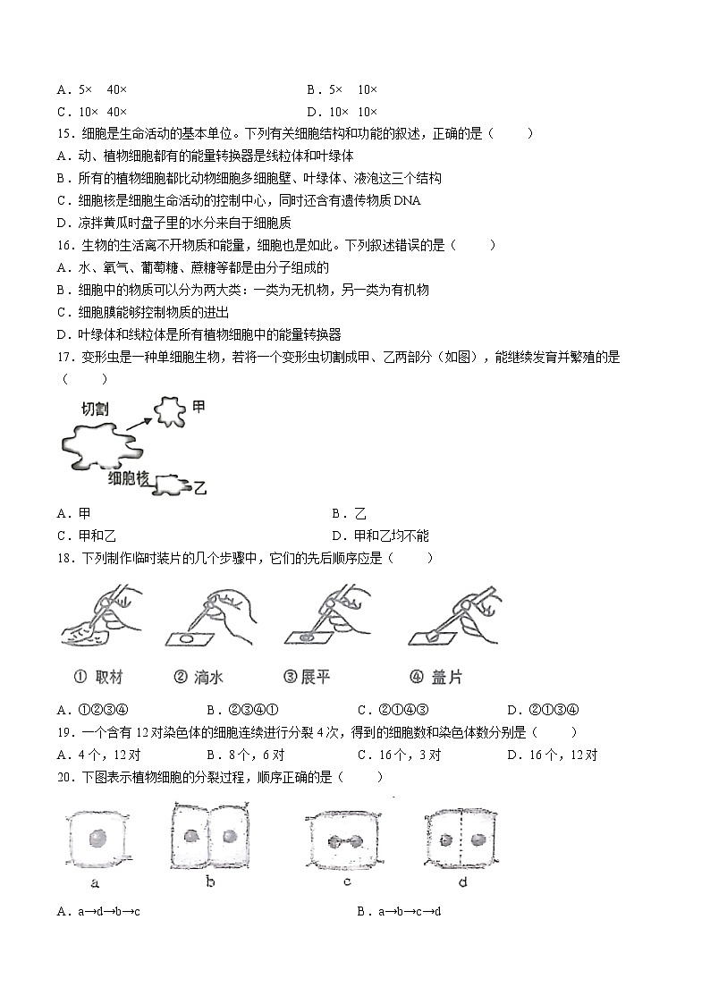 广东省中山市共进联盟2022-2023学年七年级上学期期中生物试题 (含答案)第3页