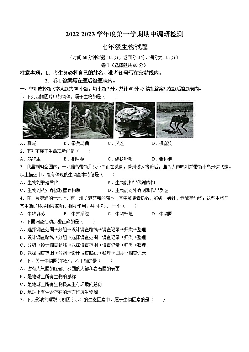 河北省保定市易县2022-2023学年七年级上学期期中生物试题 (含答案)01