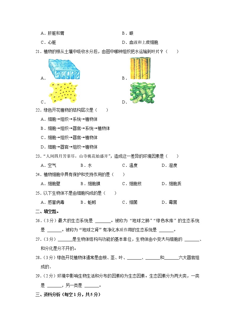 黑龙江省佳木斯市桦南县第三中学2022-2023学年七年级上学期期中生物试卷 (含答案)03