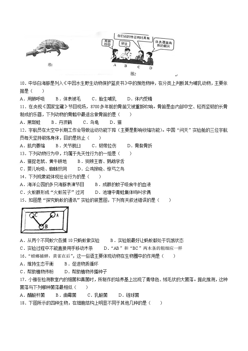 湖南省长沙市雅礼教育集团2022-2023学年八年级上学期期中联考生物试卷题 (含答案)02