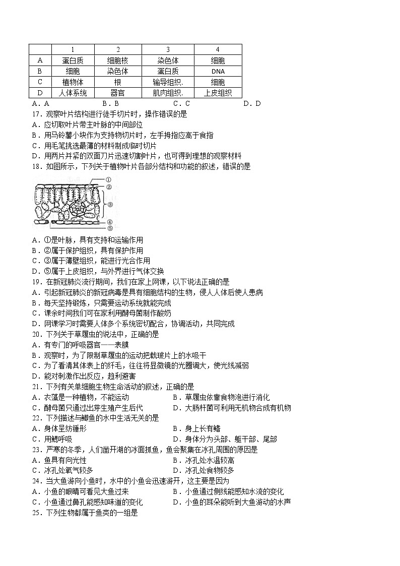 江苏省徐州市铜山区2021-2022学年七年级下学期期中生物试题 (含答案)03