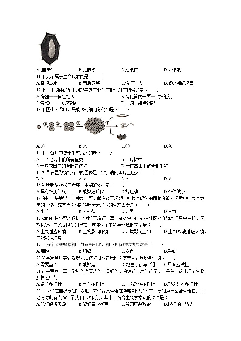 海南省临高县 2022-2023学年七年级上学期期中生物试题（含答案）02