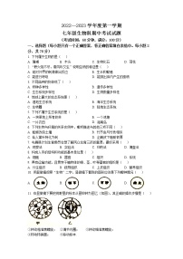 海南省屯昌县2022-2023学年七年级上学期期中生物试题