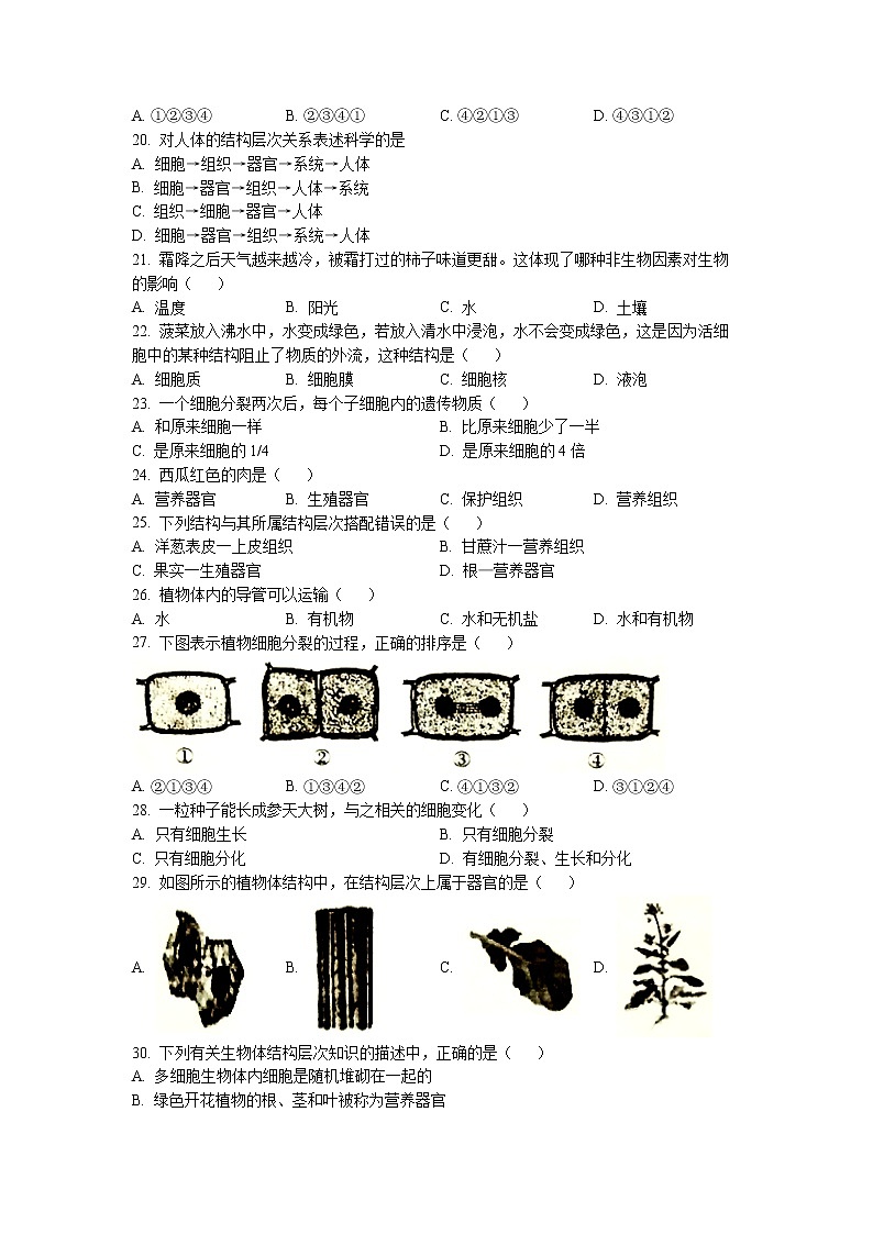 海南省屯昌县2022-2023学年七年级上学期期中生物试题第3页