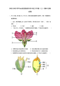 山东省济南市市中区2022-2023学年八年级上学期期中生物试卷