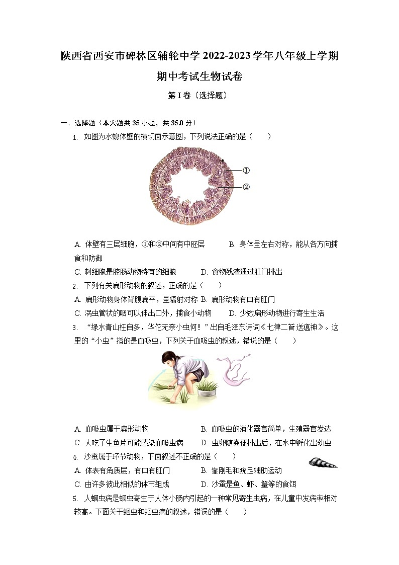 陕西省西安市辅轮中学2022-2023学年八年级上学期期中考试生物试卷第1页