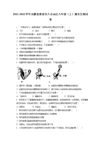 2021-2022学年安徽省淮南市八公山区八年级（上）期末生物试卷（含答案解析）