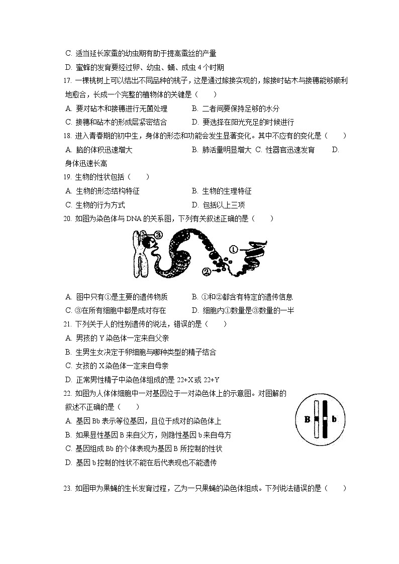 2021-2022学年安徽省淮南市八公山区八年级（上）期末生物试卷（含答案解析）第3页