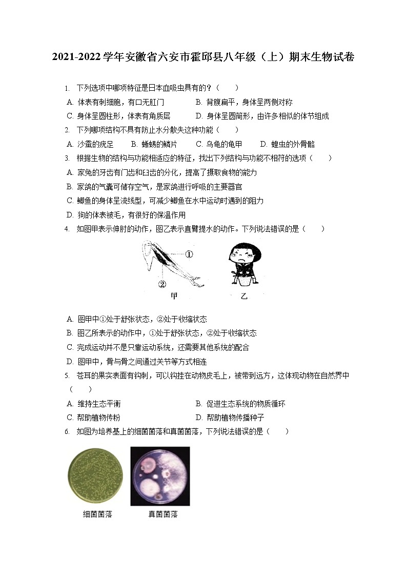 2021-2022学年安徽省六安市霍邱县八年级（上）期末生物试卷（含答案解析）01