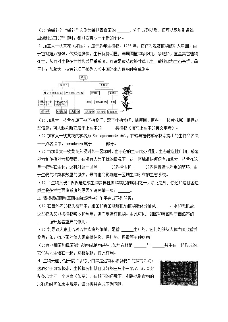 2021-2022学年安徽省六安市霍邱县八年级（上）期末生物试卷（含答案解析）03