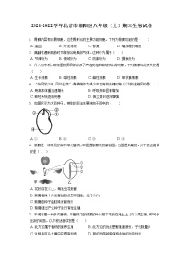 2021-2022学年北京市朝阳区八年级（上）期末生物试卷（含答案解析）