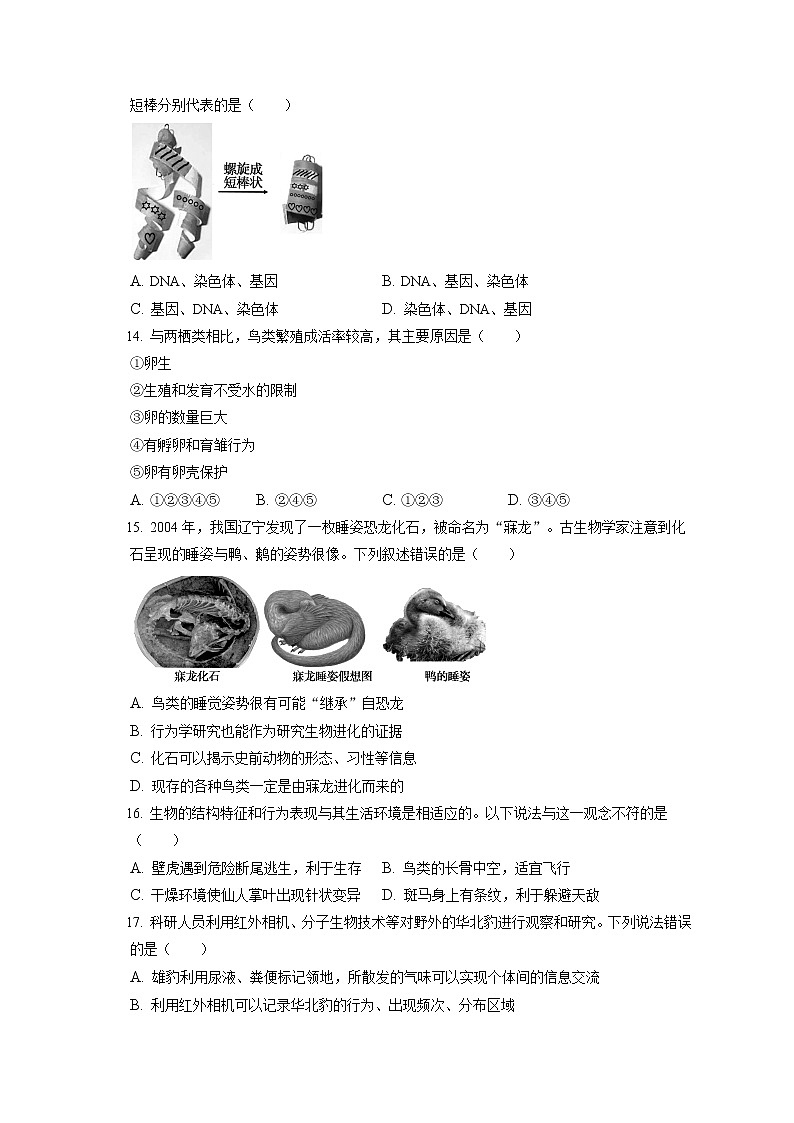 2021-2022学年北京市朝阳区八年级（上）期末生物试卷（含答案解析）03
