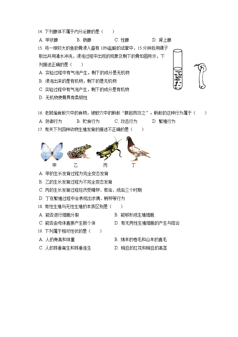 2021-2022学年北京市燕山地区八年级（上）期末生物试卷（含答案解析）第3页