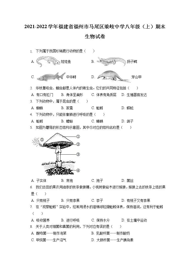 2021-2022学年福建省福州市马尾区琅岐中学八年级（上）期末生物试卷（含答案解析）01