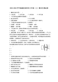 2021-2022学年福建省泉州市八年级（上）期末生物试卷（含答案解析）