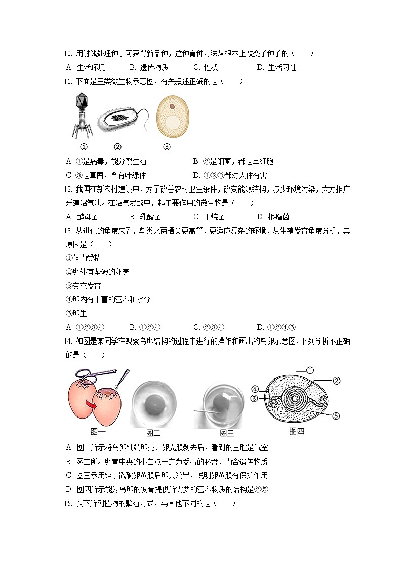 2021-2022学年福建省泉州市八年级（上）期末生物试卷（含答案解析）02