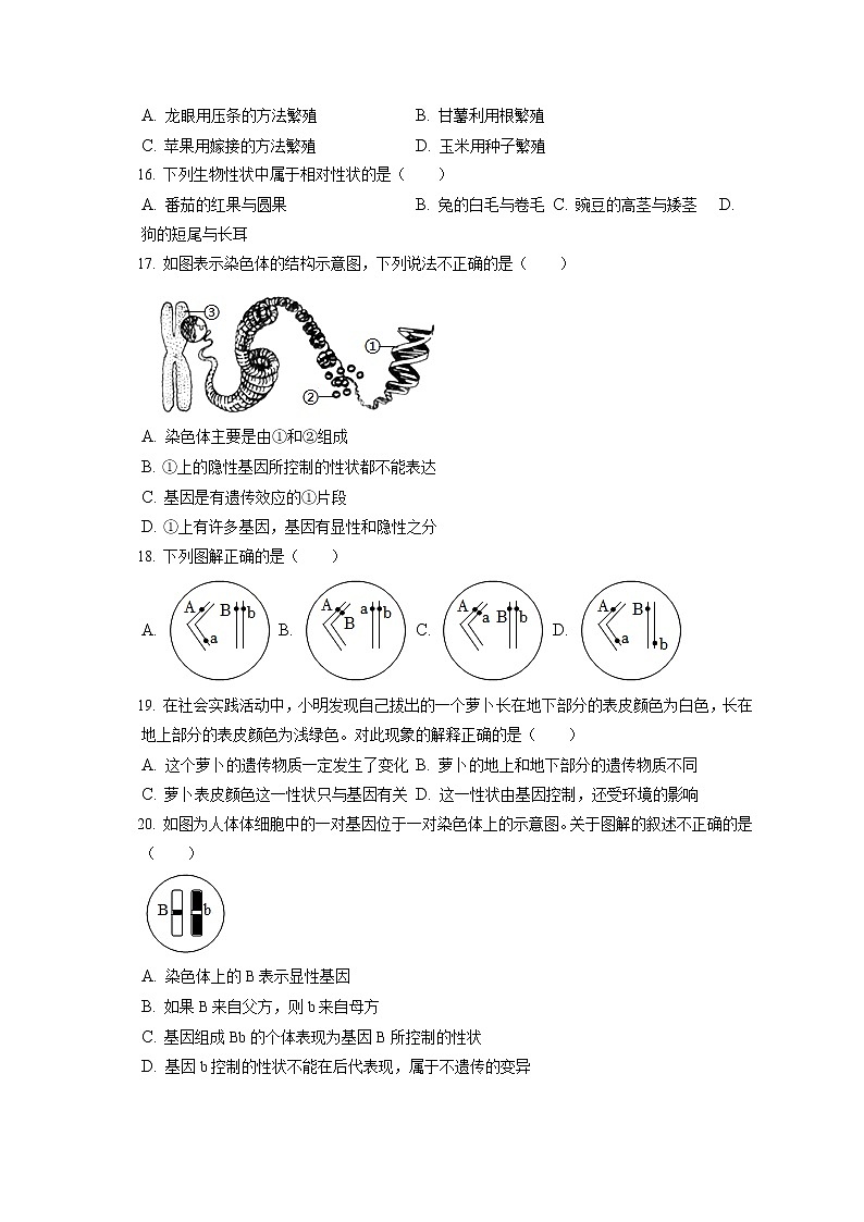 2021-2022学年福建省泉州市八年级（上）期末生物试卷（含答案解析）03
