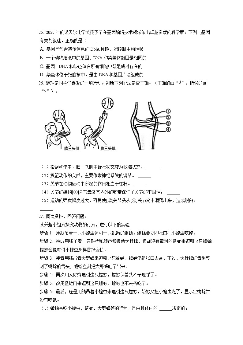 2021-2022学年福建省泉州市晋江市安海镇五校联考八年级（上）期末生物试卷（含答案解析）第3页